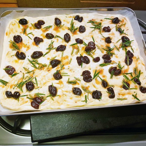 Focaccia mit Aprikosen, gebackenen Oliven, Rosmarin und Waldhonig