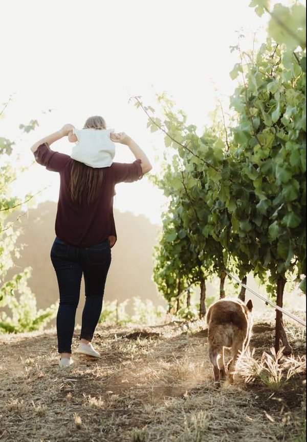 Hillary ist von hinten zu sehen, wie sie mit ihrer Tochter auf den Schultern durch den Weinberg im Sonnenschein geht, nebenher läuft ihr Hund